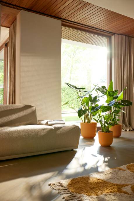 jazz rund 30cm amber gelb